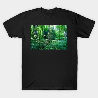 Urwald Schweiz / Swiss Artwork Photography T-Shirt